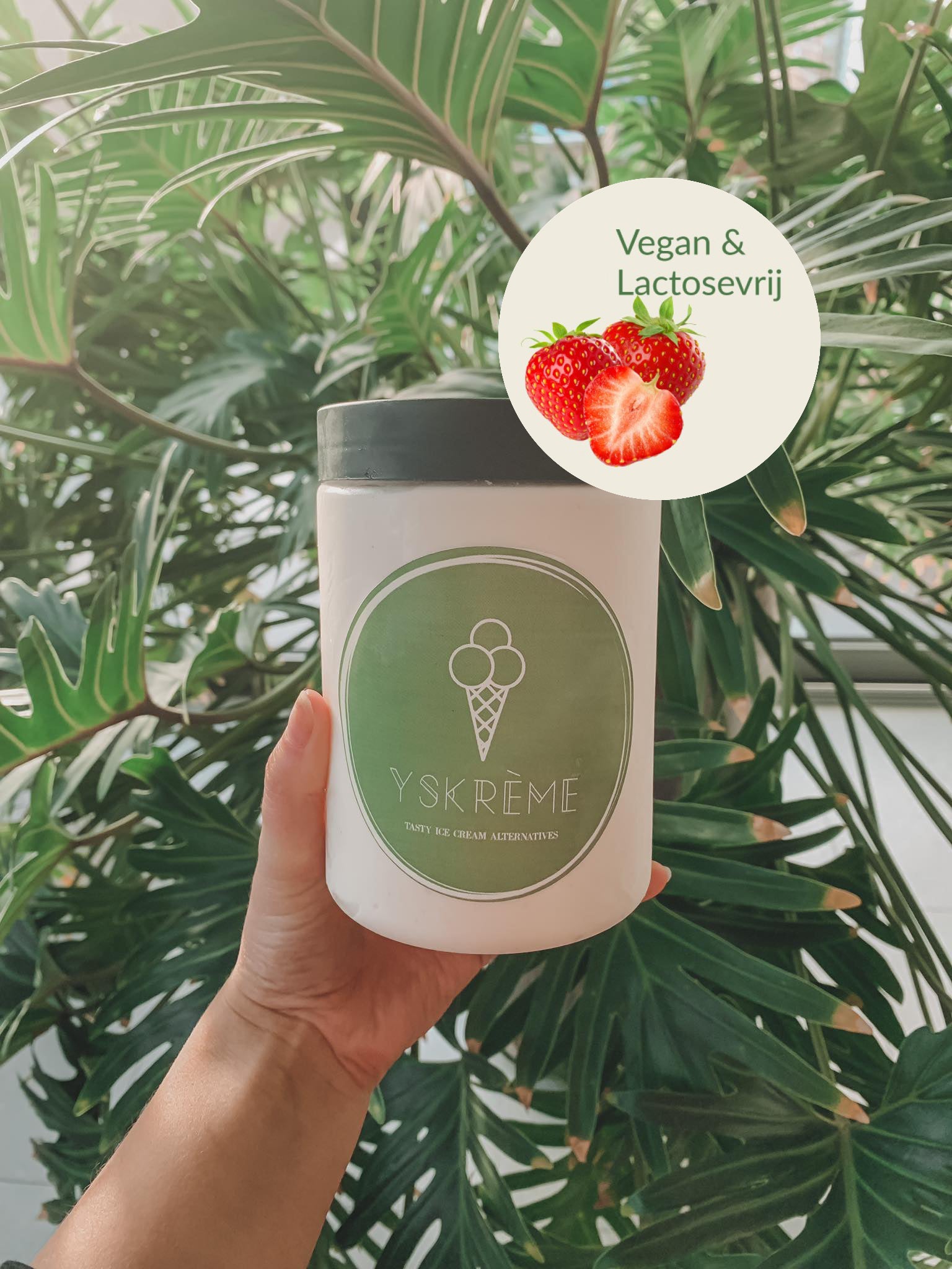 Aardbeien (Vegan en lactosevrij)