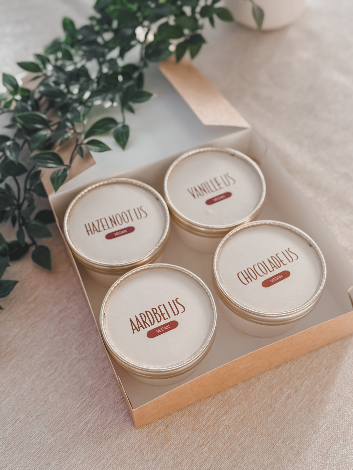 Box 1 (Vegan en lactosevrij)